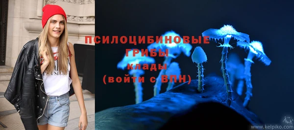 мескалин Арсеньев