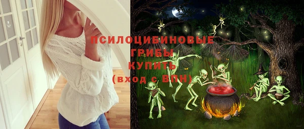 стафф Снежинск