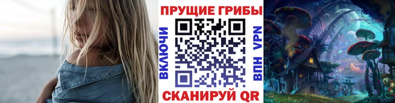 блэк спрут ссылка  Судак  Галлюциногенные грибы Magic Shrooms 